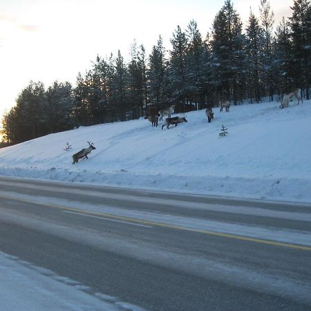 Saariselaen Marjamajat Apartment Sopuli Saariselkä Exteriör bild